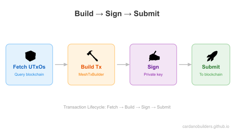 Transaction Lifecycle: Build, Sign, Submit