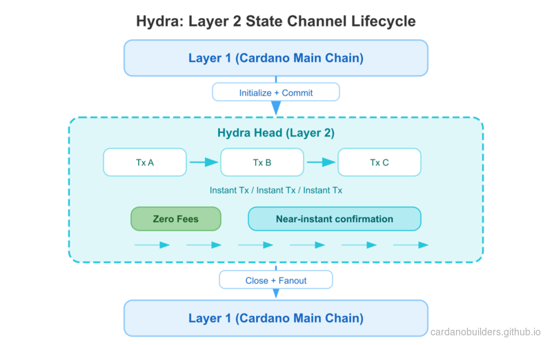 Hydra Head Lifecycle